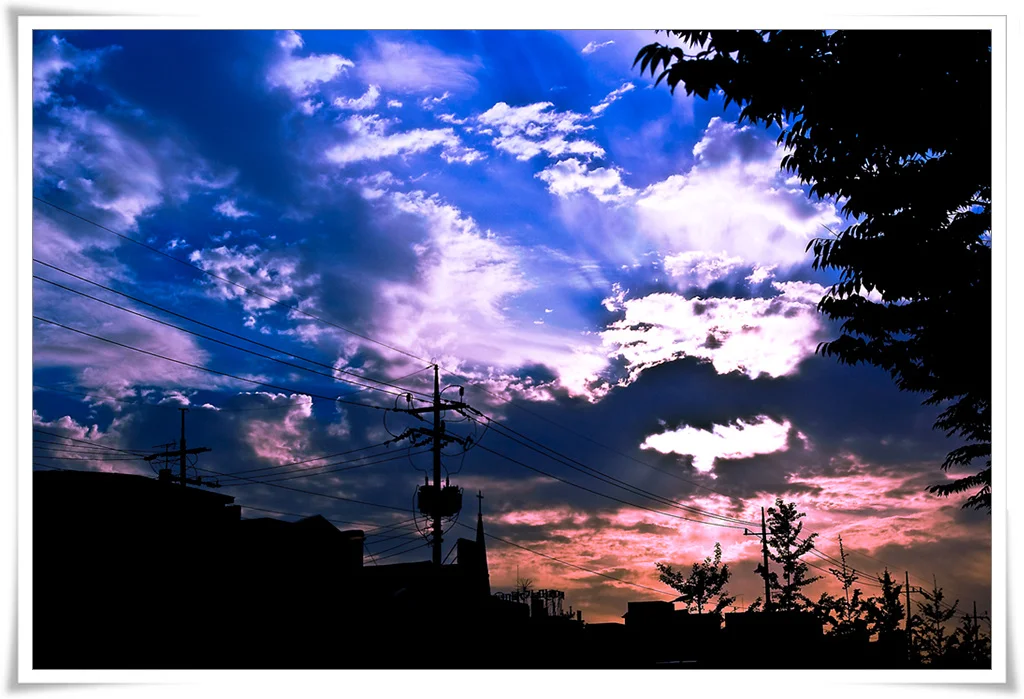 블로그 다시 시작합니다-start-001